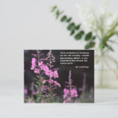 Fireweedの植物- eeのcummingsの引用文 ポストカード (スタンド正面)