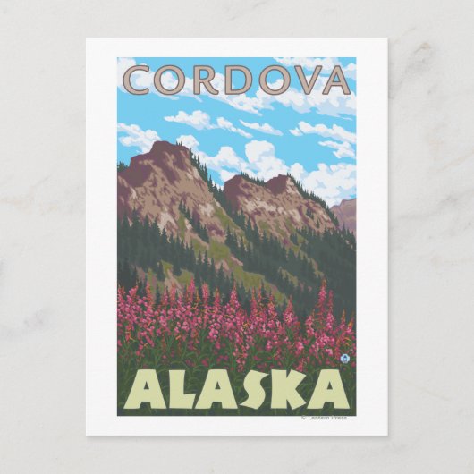 Fireweed及び山- Cordova、アラスカ ポストカード (正面)
