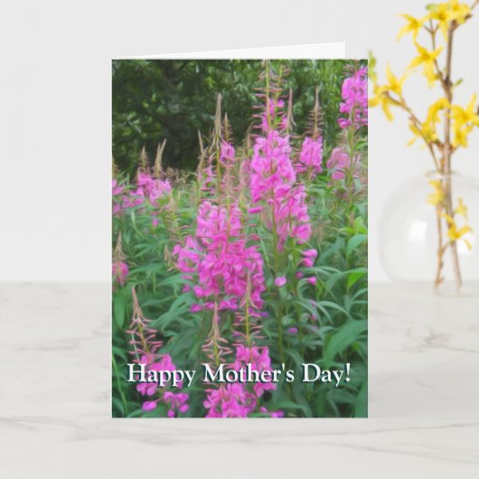 Fireweed カード (黄色い花)