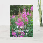 Fireweed カード (正面)