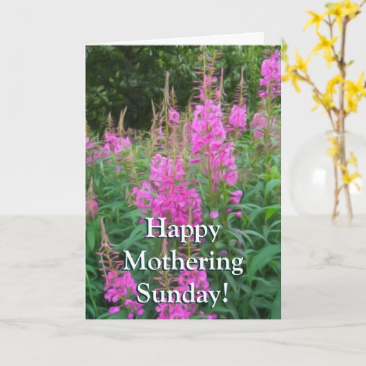 Fireweed カード (黄色い花)