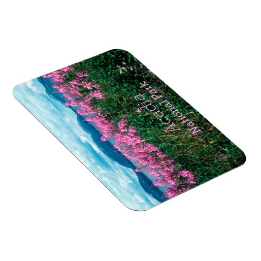 Fireweed Braws、Baker Iland、Acadia NP マグネット (右側)