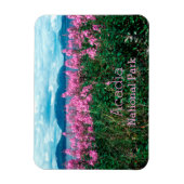 Fireweed Braws、Baker Iland、Acadia NP マグネット (縦)