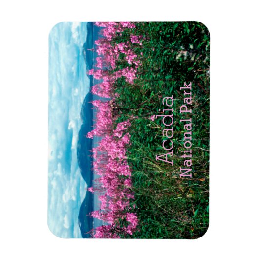 Fireweed Braws、Baker Iland、Acadia NP マグネット (縦)