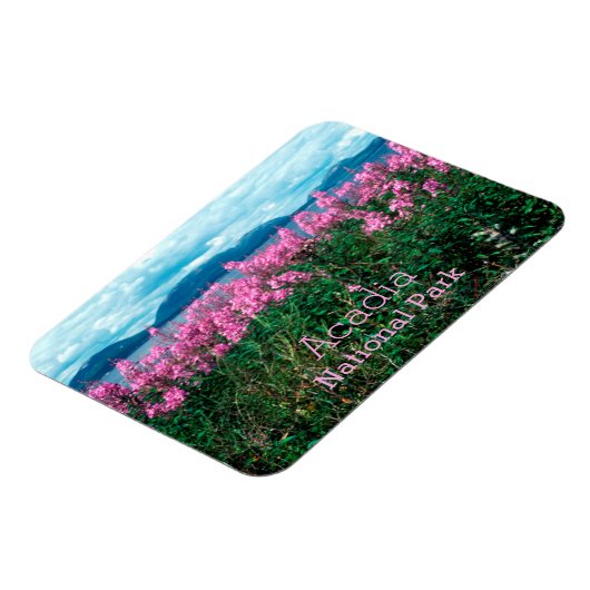 Fireweed Braws、Baker Iland、Acadia NP マグネット (左側)