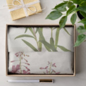 Fireweed by Mary Vaux Walcott 薄葉紙 (ギフト)