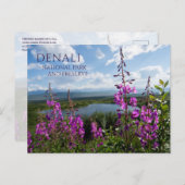 Fireweed Flops, Lake 疑問に思 Denali NP, Alaska ポストカード (正面/裏面)