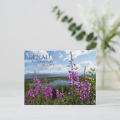 Fireweed Flops, Lake 疑問に思 Denali NP, Alaska ポストカード (スタンド正面)