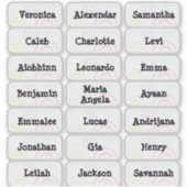 Fireworksの複数の名前スタンプ シール (正面)