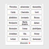 Fireworksの複数の名前スタンプ シール (シート)