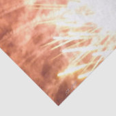 Fireworks 12ティッシュペーパー 薄葉紙 (詳細)