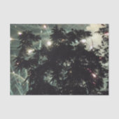 Fireworks 13ティッシュペーパー 薄葉紙 (正面)