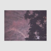 Fireworks 16ティッシュペーパー 薄葉紙 (正面)