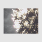 Fireworks 2ティッシュペーパー 薄葉紙 (正面)