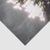 Fireworks 2ティッシュペーパー 薄葉紙 (詳細)