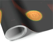 Fireworks 9マットラッピング紙 ラッピングペーパー (ロールコーナー)