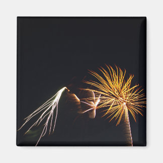 Fireworks P0538磁石 マグネット