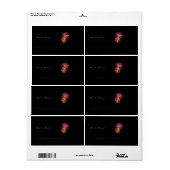 Fireworks P3621ブックラベル ラベル (フルシート)