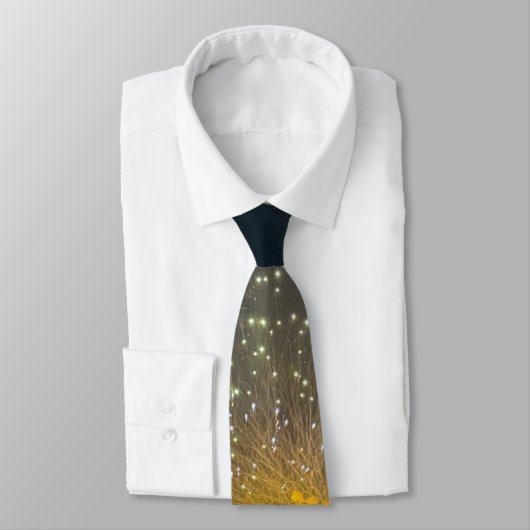 Fireworks Photo Necktie  ネクタイ (タイ)