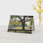 "Firmly Rooted" Psalms Scripture Greeting カード (黄色い花)