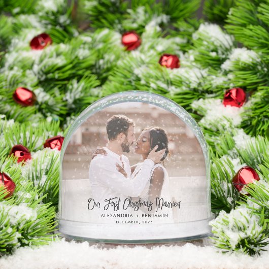 First Christmas Married Wedding Photos (クリスマス)