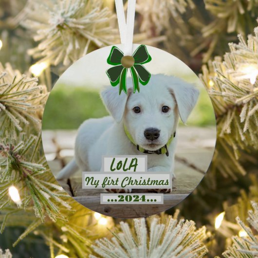 First Christmas ornament with my pet メタルオーナメント (インサイチュ)