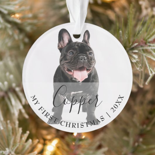 First Christmas Pet 2 Photo Script Name Ornament オーナメント (ツリー)