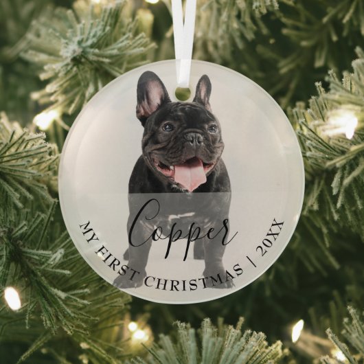 First Christmas Pet Photo Script Name Ornament ガラスオーナメント (インサイチュ)