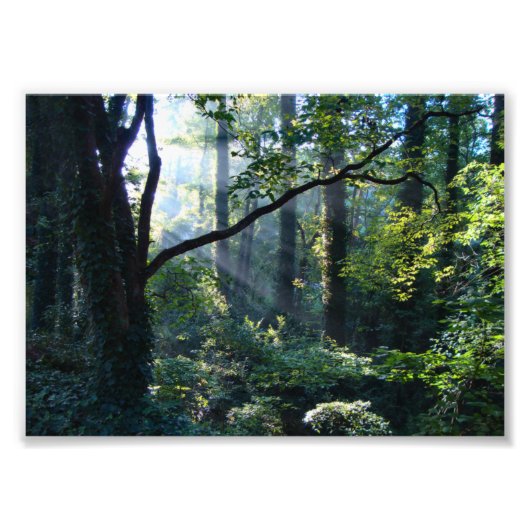 First Lightフォトプリント フォトプリント (正面)