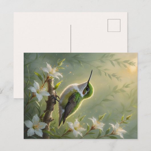 First Light Kin Hummingbird Postcard ポストカード (正面/裏面)