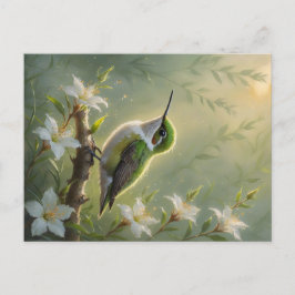 First Light Kin Hummingbird Postcard ポストカード