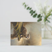 First Light Kin Otter Postcard – Gentle Joy シーズンポストカード (スタンド正面)