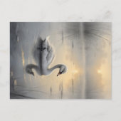 First Light Kin Swan Postcard ポストカード (正面)