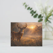 First Light | Whitetail Deer Art | Postcard ポストカード (スタンド正面)