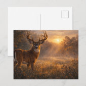 First Light | Whitetail Deer Art | Postcard ポストカード (正面/裏面)