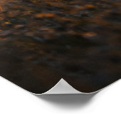 First Light | Whitetail Deer Art | Poster ポスター (角)