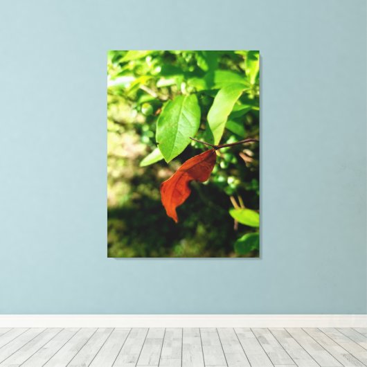 First Signs of Fall Canvas Print キャンバスプリント (インサイチュ (ウッドフロア))