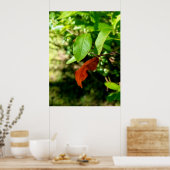 First Signs of Fall Poster Print ポスター (キッチン)
