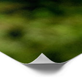 First Signs of Fall Poster Print ポスター (角)