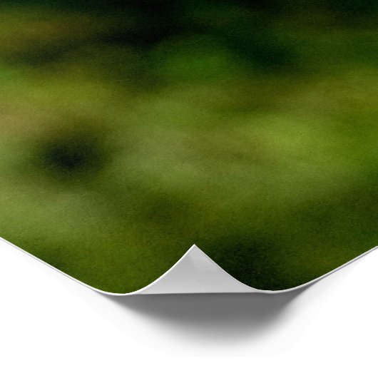 First Signs of Fall Poster Print ポスター (角)