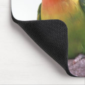 “Fischer's Lovebird”の優良製品 マウスパッド (コーナー)