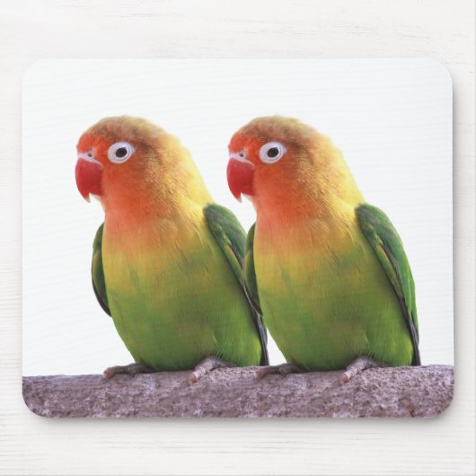 “Fischer's Lovebird”の優良製品 マウスパッド (正面)