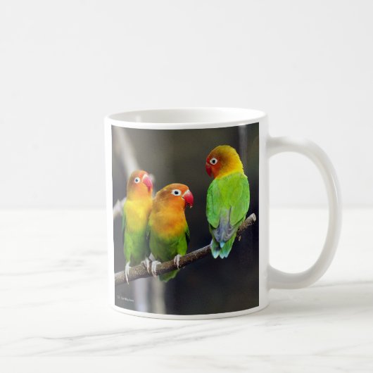 “Fischer's Lovebird” コーヒーマグカップ (右)
