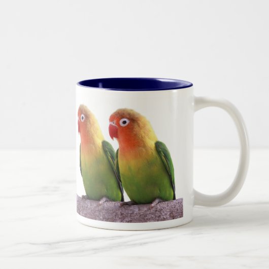 Fischer's Lovebird ツートーンマグカップ (右)