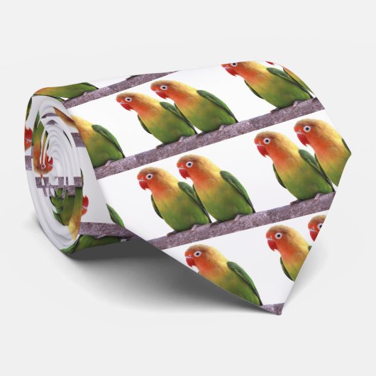 Fischer's Lovebird ネクタイ (ロール)