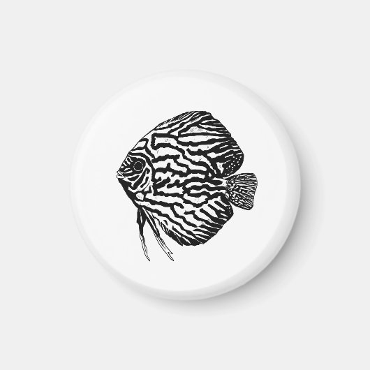 Fish  マグネット (正面)