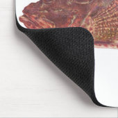 Fish – レッドロックタラ – Scorpaena caderalis マウスパッド (コーナー)