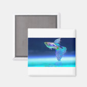 fish-2358741_1920 マグネット (正面/裏面)