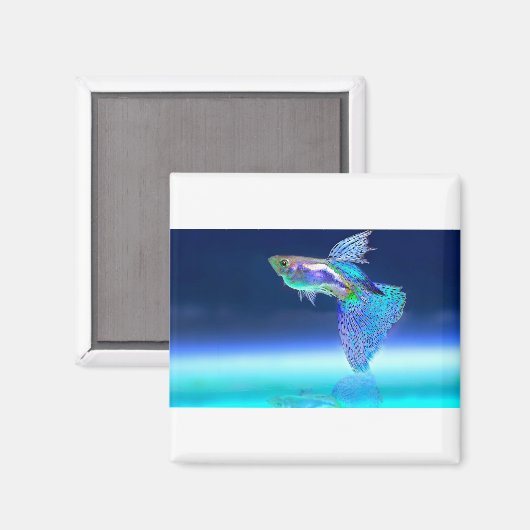 fish-2358741_1920 マグネット (正面/裏面)