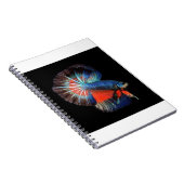 fish-5115102_1280 ノートブック (右側)